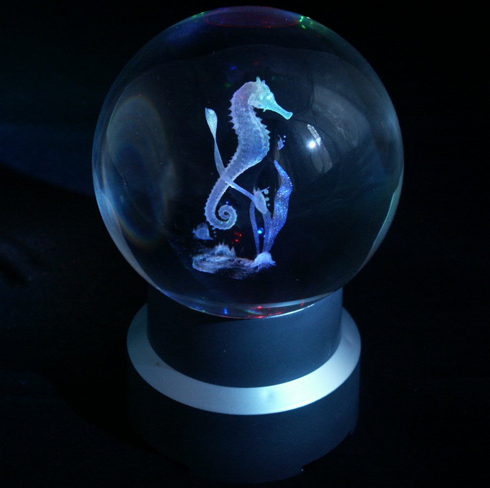3D Mořský koník v kouli 100 mm+LED stojánek
